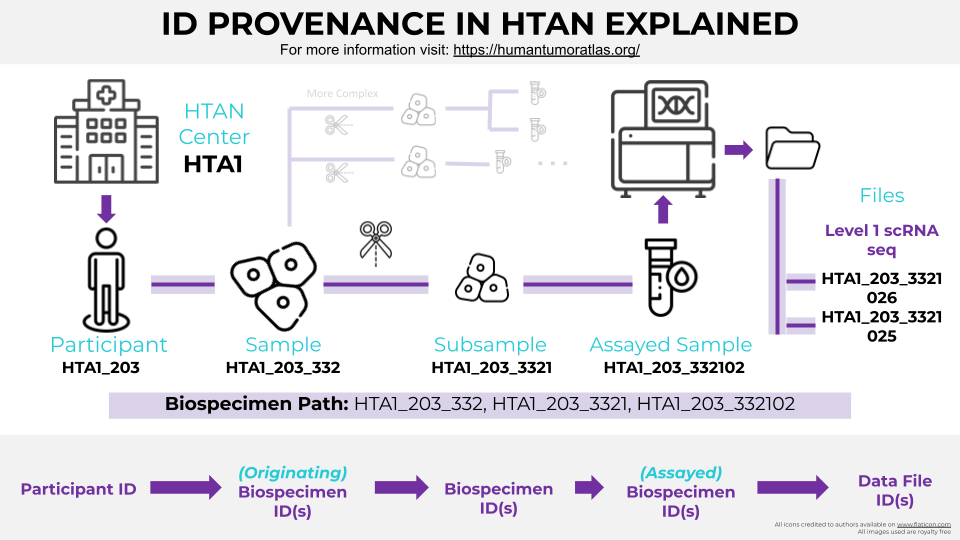 HTAN ID Provenance